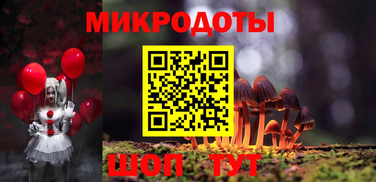 Псилоцибиновые грибы прущие грибы Конаково